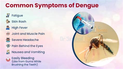 what is dengue meaning